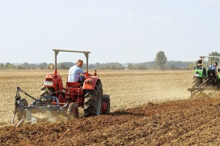 aprzegub wałka wom